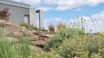 Imagen de Cómo armar un jardín de plantas nativas en la Patagonia