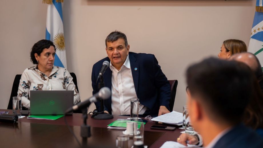 Koenig al momento de su exposición este martes. Foto: gentileza Legislatura de Neuquén. 