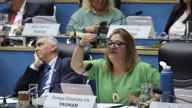 En Río Negro la Legislatura autorizó sobregiros y Letras del Tesoro para 2026