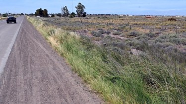 Un proyecto gubernamental prevé que el Idevi realice un loteo en Viedma y ceda terrenos a sus empleados