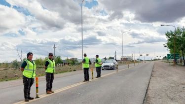 Decomisaron más de 1600 kilos de carne: cómo fue el operativo en Zapala