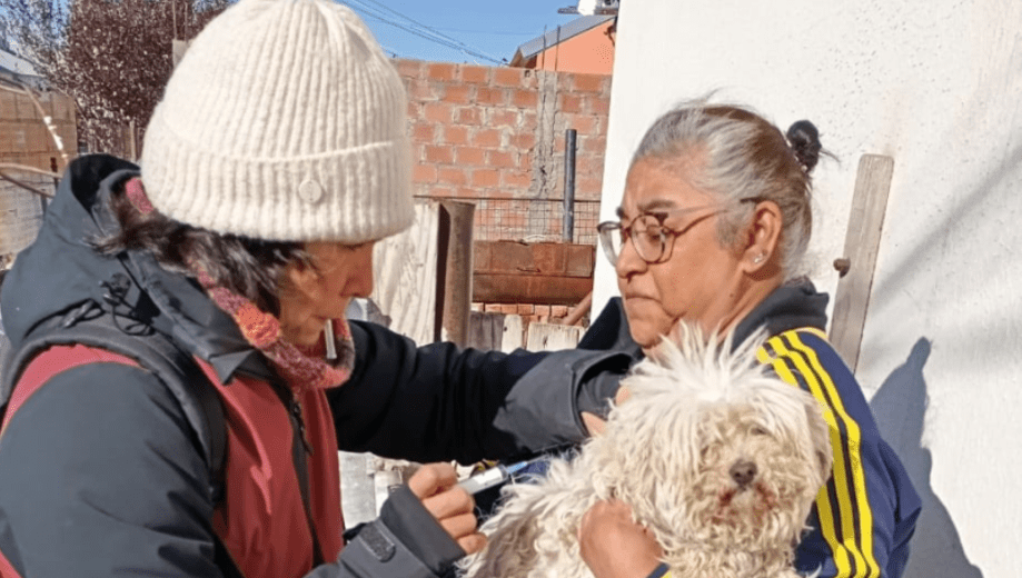 Piden reforzar la vacunación en mascotas por casos de rabia. Foto: Gentileza Gobierno de Chubut. 