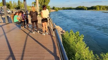 Turismo en Vaca Muerta: excursiones, vinos, historia y lagos cerca de Neuquén capital