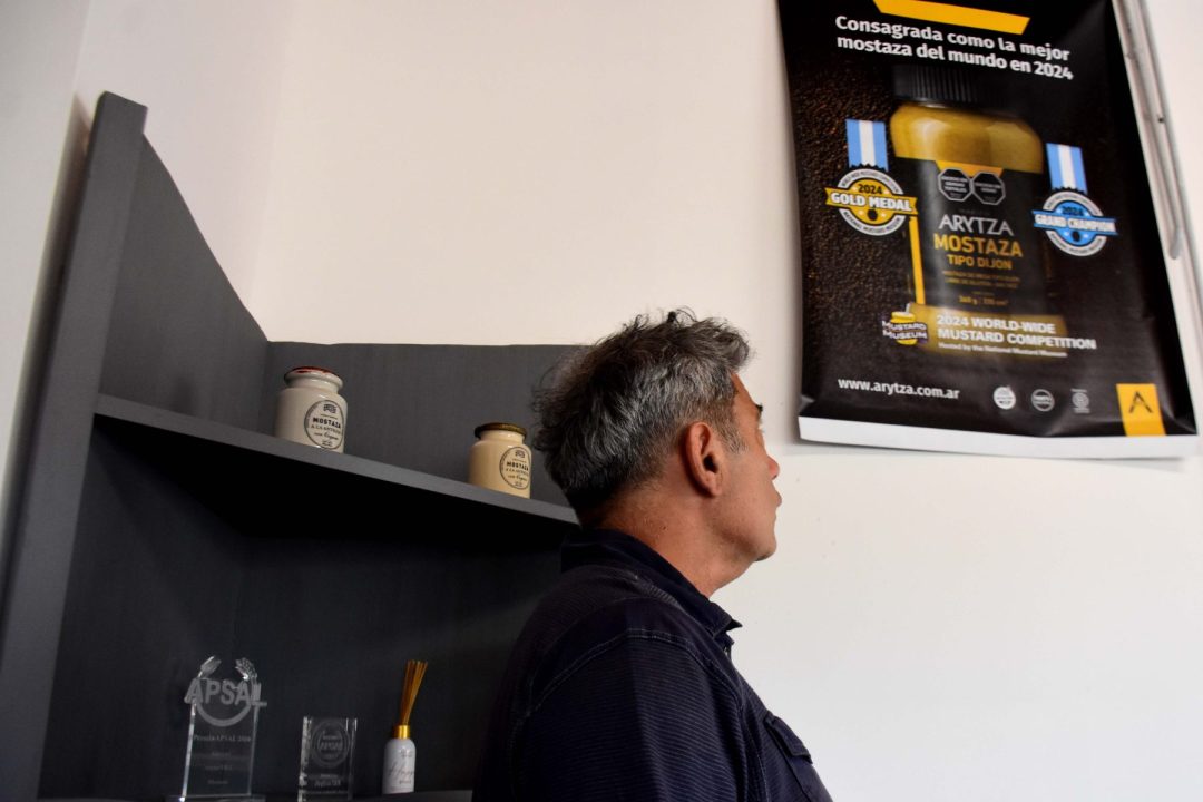 La mostaza campeona del mundo que nació en Río Negro: cómo un proyecto patagónico revolucionó un cultivo sin tradición