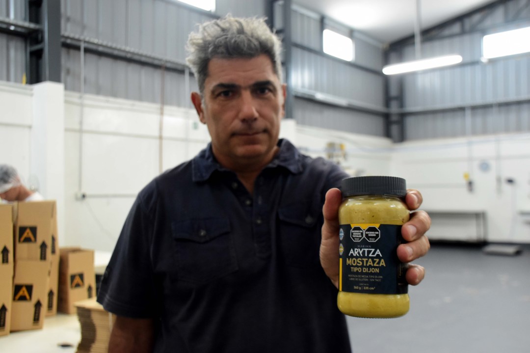 La mostaza campeona del mundo que nació en Río Negro: cómo un proyecto patagónico revolucionó un cultivo sin tradición