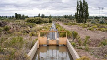 A un valle de Neuquén lo rodea el agua, pero el riego no le alcanza: «Es un techo para el desarrollo»