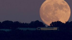La Superluna más brillante de 2025 iluminará noviembre junto a lluvias de estrellas imperdibles