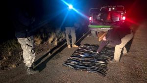 Pesca clandestina de truchas en Neuquén: guardafaunas recorren hasta restaurantes para controlarla