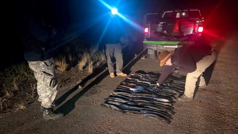 Preocupa la pesca ilegal en Neuquén. Foto: gentileza Provincia. 