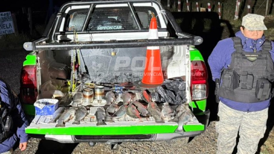 Secuestran 40 truchas en un operativo de la Policía de Río Negro. (Gentileza).