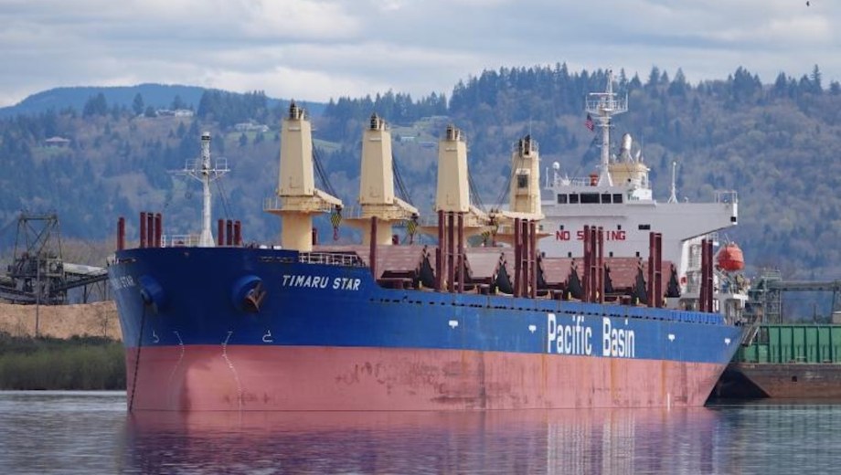 La descarga de las 10.000 toneladas de caños del exTimaru Star (ahora Billion Star) iniciará el 26 de noviembre. (Foto: gentileza)