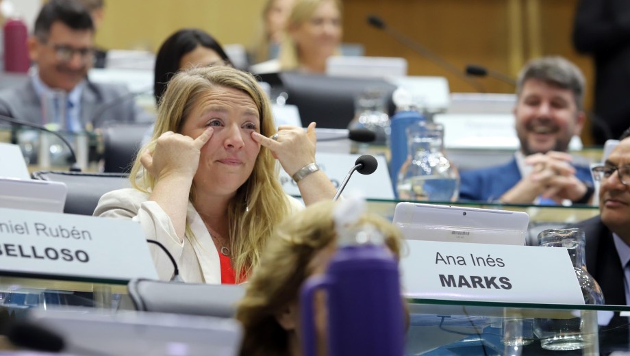Ana Marks se despidió de la Legislatura de Río Negro en la última sesión. Asumirá el 10 de diciembre como senadora nacional. Foto : Marcelo Ochoa