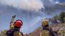 Imagen de Fuego prohibido: tormentas eléctricas, incendios en la Patagonia y un pedido urgente en un «verano crítico»