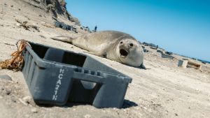 Vuelve el Concurso de Fotografía de la Patagonia: premios increíbles y convocatoria abierta hasta febrero