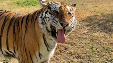 Bubalco Patagonia prepara un finde largo con grandes propuestas: juegos acuáticos, naturaleza,  promociones y más