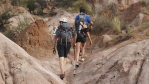 Valle y Estepa: sabores, cultura y paisajes que sorprenden