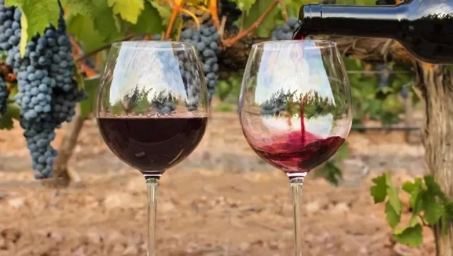 Desregular para crecer. La idea que propone el gobierno a los bodegueros, que ven claroscuros en la iniciativa.  