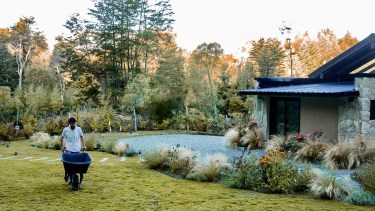 La magia de praderas y pastizales: cómo armar jardines naturalistas en la Patagonia