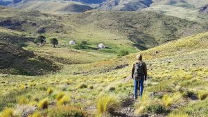 El increíble Pino Solo, al límite con Chile: una travesía secreta por paisajes y leyendas del norte neuquino