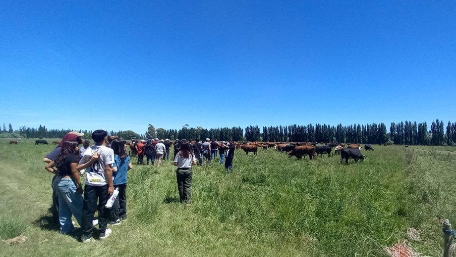 La jornada combinó teoría y práctica en el manejo de sistemas ganaderos bajo riego. Foto: gentileza.