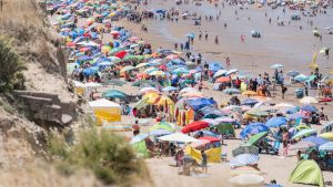 La costa atlántica de Río Negro: naturaleza, fauna y paisajes que sorprenden en verano