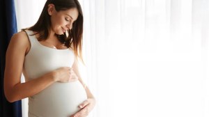 ANSES: ¿Hasta qué fecha hay tiempo para cobrar la Asignación por Embarazo?