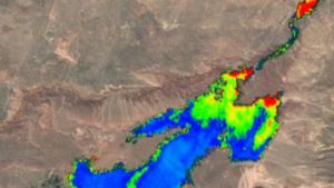 Alerta por cianobacteria en El Chocón: la AIC difundió el mapa y qué zonas evitar este martes 30 de diciembre 