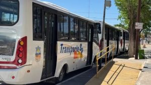 Rincón de los Sauces tendrá transporte público: mapa de los recorridos y precios del boleto
