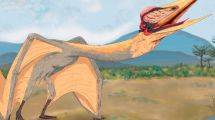 Imagen de Cómo era el «dragón de la muerte» que se fosilizó tras una inundación