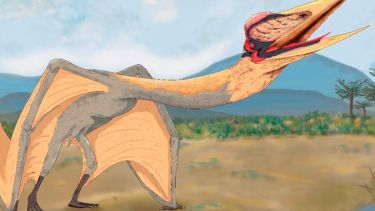 Cómo era el «dragón de la muerte» que se fosilizó tras una inundación