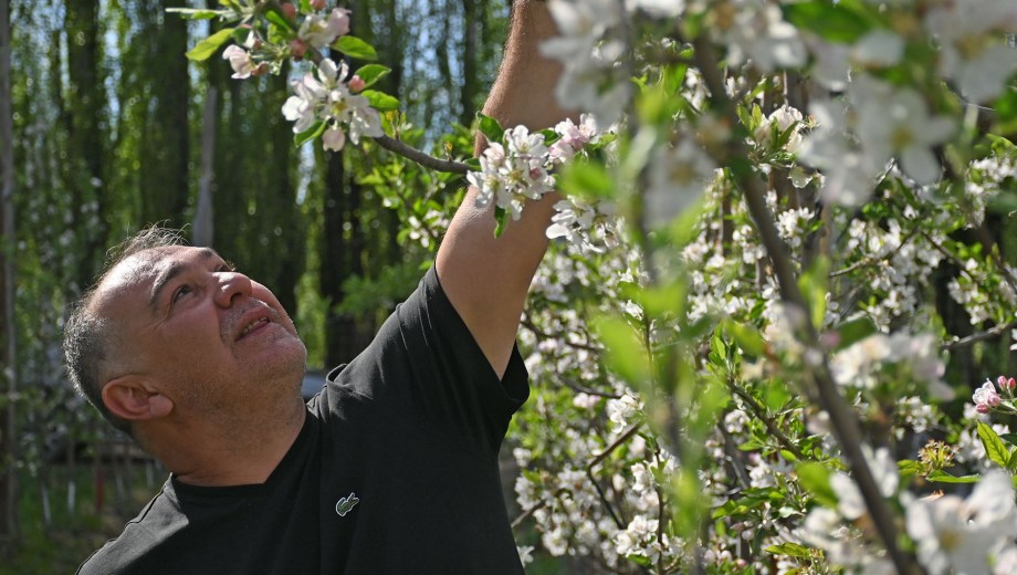 Allen, Río Negro. Gustavo Arno maneja 250 hectáreas y crece gracias a la consolidación de su marca en el mercado interno.