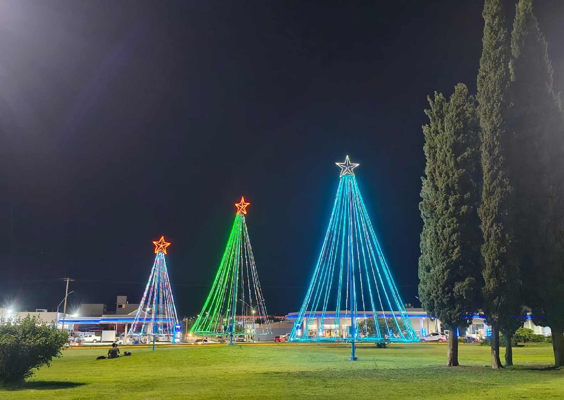 Roca encendió las luces para Navidad 2025: las fotos de los arbolitos de la ciudad 