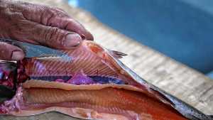 Por qué visitar el paraje Bella Vista, en el norte neuquino: de ahí salen las truchas de Piedras Meonas
