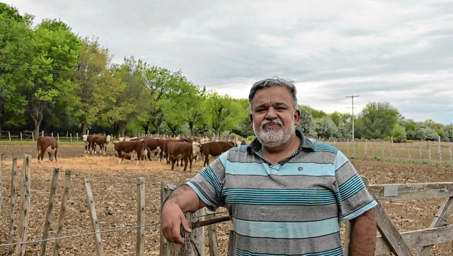 Valle Azul, Río Negro. Baldomero Bassi, cabaña El Molino. 500 hectáreas bajo riego y más de 60 años de tradición en cría de Hereford.