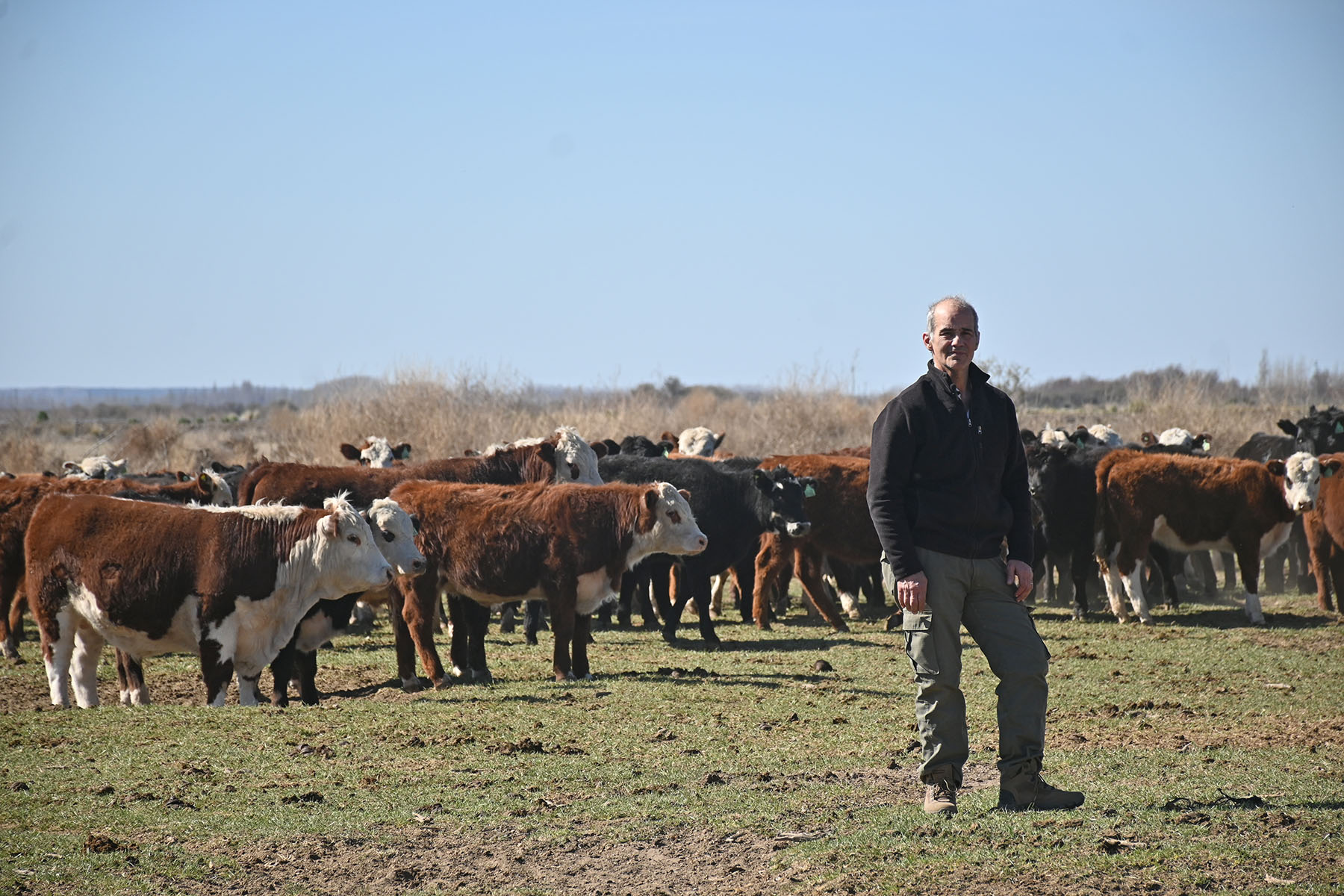 Coronel Belisle, Río Negro. José Sáenz llegó de Buenos Aires, se enamoró del Valle y compró 630 hectáreas. Así, cambió el secano por el riego.