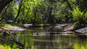 Un balneario renovado para disfrutar: Centenario inaugura su temporada de verano