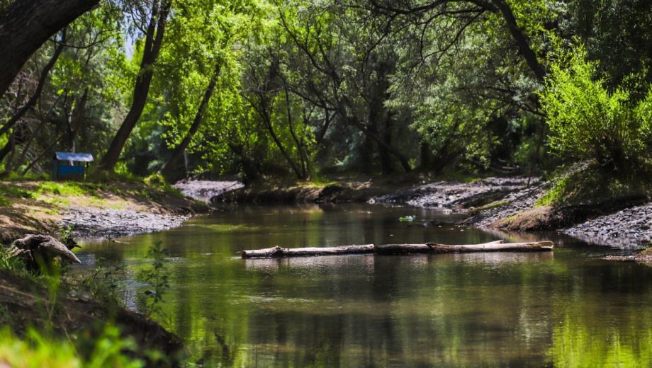 Centenario lanzó la temporada de verano 2025 - 2026. Foto: Gentileza.