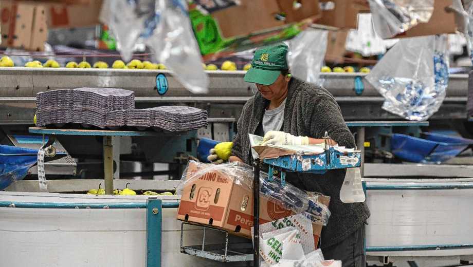 Fruticultura en Río Negro. Foto: archivo Juan Thomes.