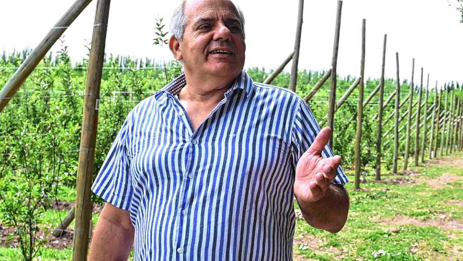 Cipolletti, Río Negro. Gabriel Grisanti sigue al frente de Tres Ases, la emblemática firma que produce 50.000 toneladas de frutas al año.