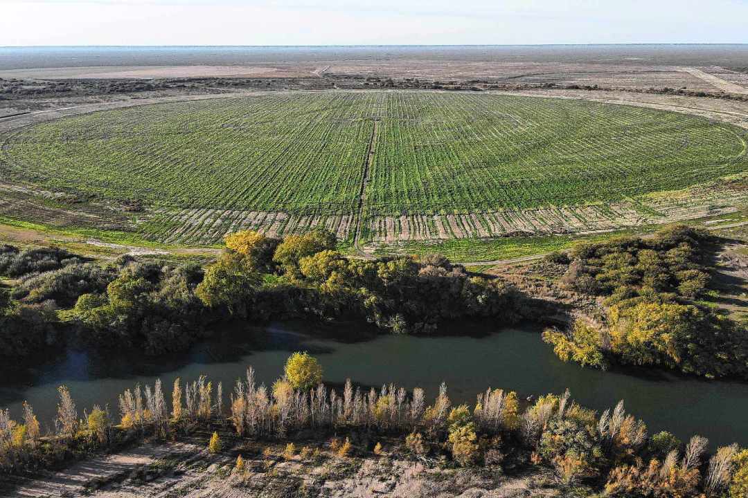 Negro Muerto, Río Negro. Desde hace años, Kaitaco convierte en realidad el enorme potencial agrícola y ganadero de esta incipiente zona.