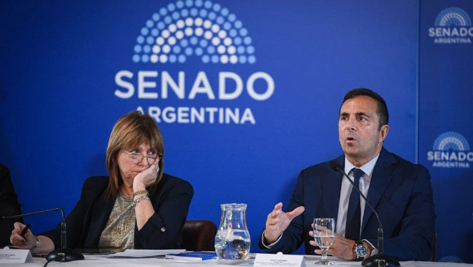Julio Cordero junto a Patricia Bullrich en el Senado. 