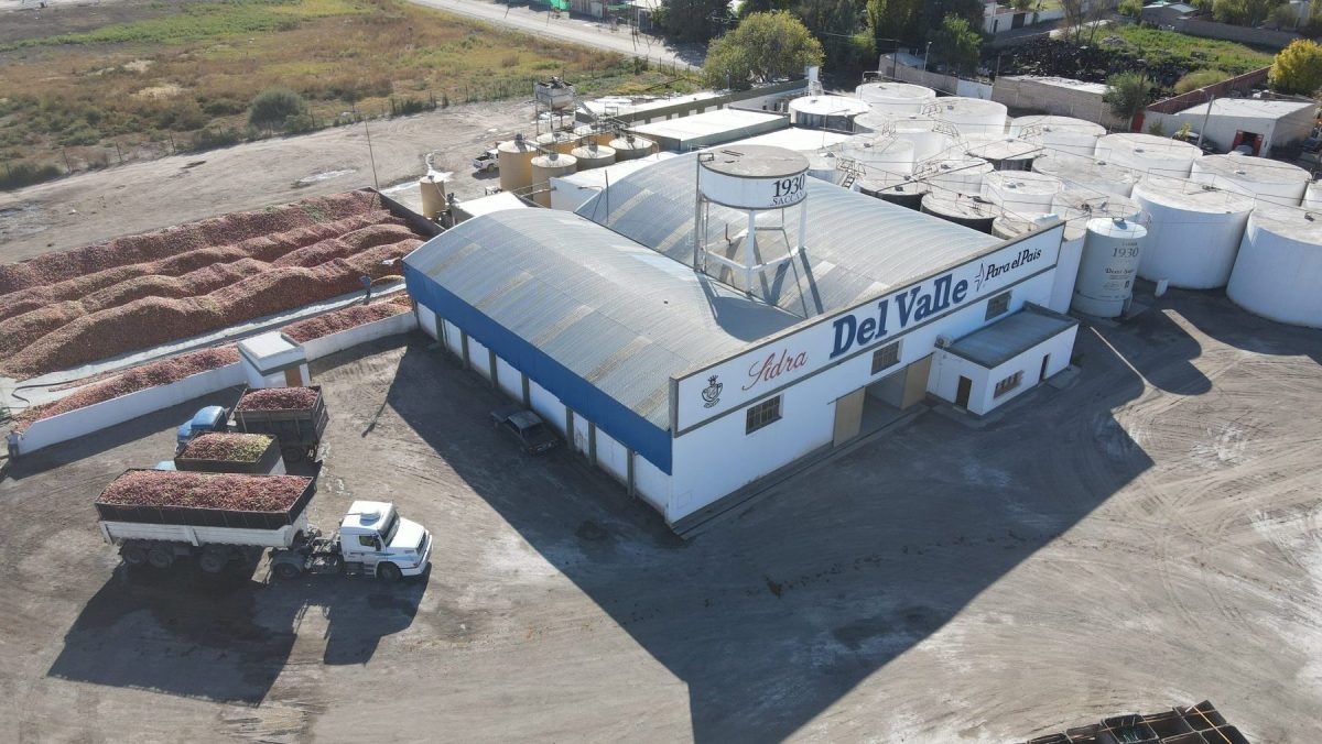 El caldo de sidra se elabora en General Roca. Foto: gentileza Bodegas Cuvillier.
