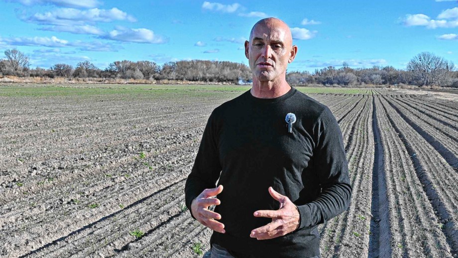 Choele Choel, Río Negro. Diego Gordon, Establecimiento la Media Luna. Un polo cebollero que busca abrir nuevos mercados de exportación.