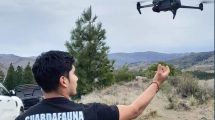 Imagen de «Ojos en el cielo»: Neuquén consolidó su flota de 24 drones con cámaras térmicas y visión nocturna 