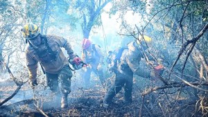 Según el SPLIF, existe un riesgo muy alto de incendios forestales en Bariloche