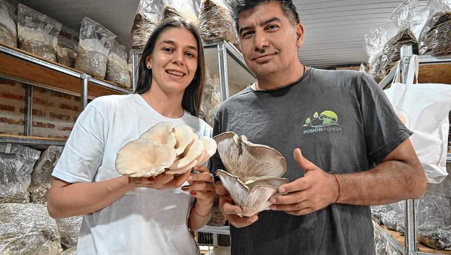 Lucía Umile y Ariel Bahamondes, de Fusión Funga.