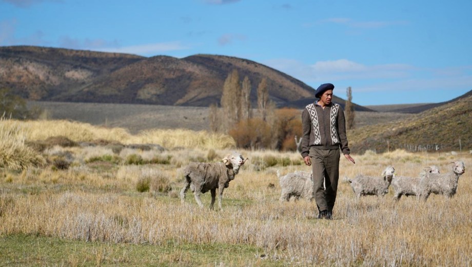 La ganadería sustentable de la Patagonia combina manejo regenerativo y saberes ancestrales mapuches para restaurar el ambiente/Crédito: WCS Argentina