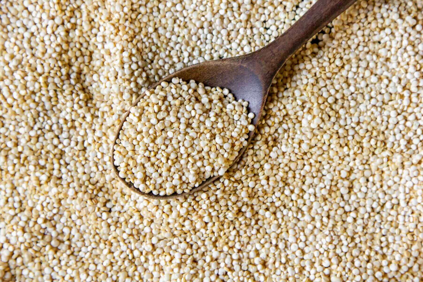El secreto de la quinoa: cómo sus hojas le ayudan frente el cambio climático