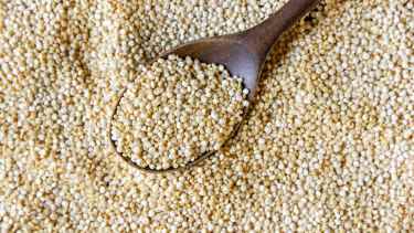 El secreto de la quinoa: cómo sus hojas le ayudan frente el cambio climático