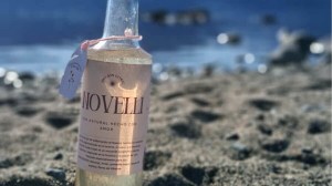 Jazmín destila sueños en la Patagonia: creó Novelli Gin con hierbas de Lago Puelo y promete cero resaca
